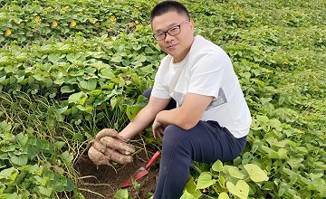 周末陪孩子挖红薯，悟到了11条创业真经，老板们必看！